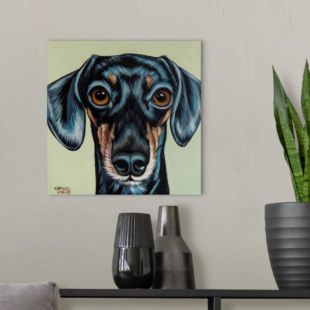 A modern room featuring Traditional Dachshund