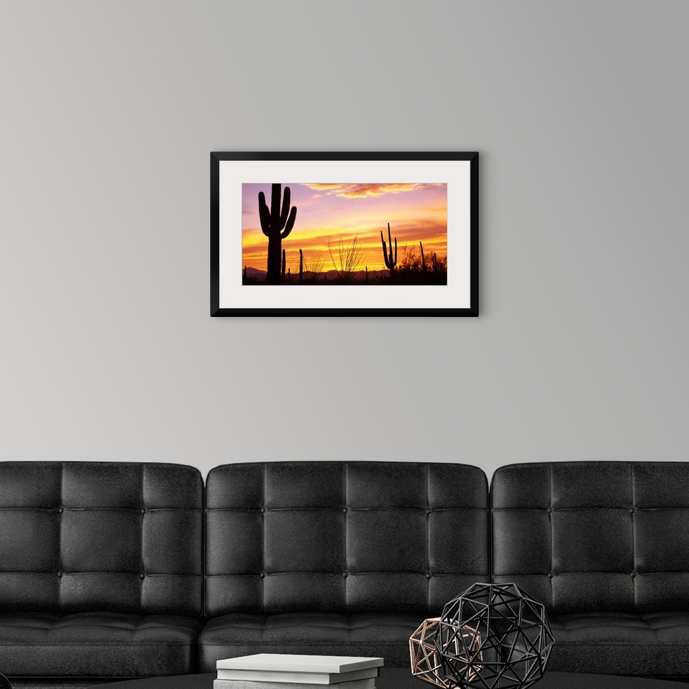 A modern room featuring Cacti silhouetted against the evening sky and clouds.