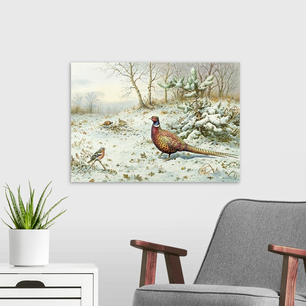 A modern room featuring Cock Pheasant and Chaffinch