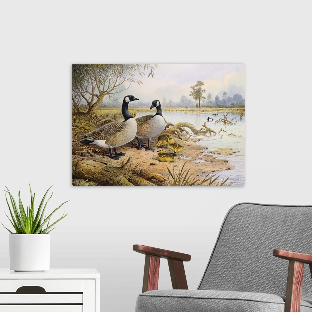 A modern room featuring Geese, Canada