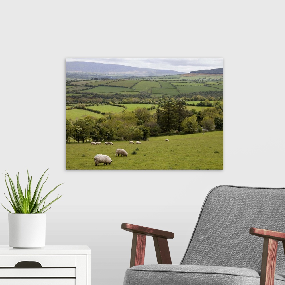 A modern room featuring Western Ireland, Dingle Peninsula,broad landscape with a patchwork of green pastures and grazing ...