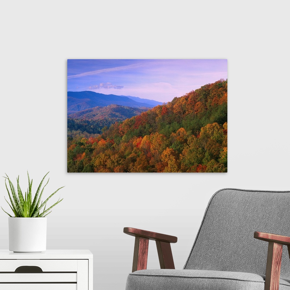 A modern room featuring Appalachian Mountains ablaze with fall color, Great Smoky Mountains National Park