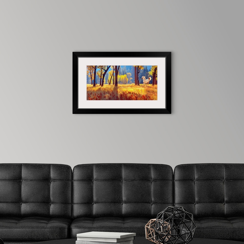 A modern room featuring Panoramic photograph shows a horse galloping through an open forest filled with trees and high gr...