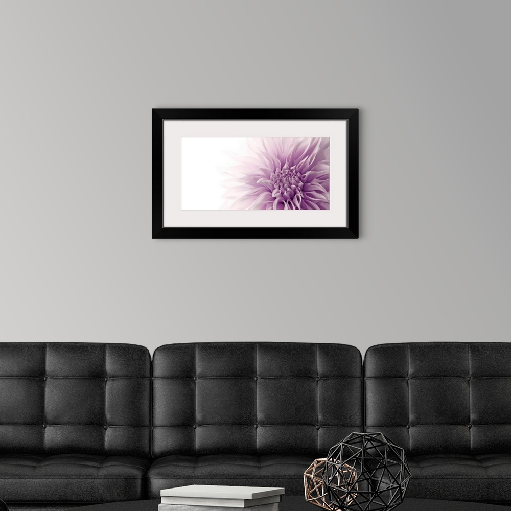 A modern room featuring A detail of a flower blossom that has been photographed with lighting that makes its highlights f...