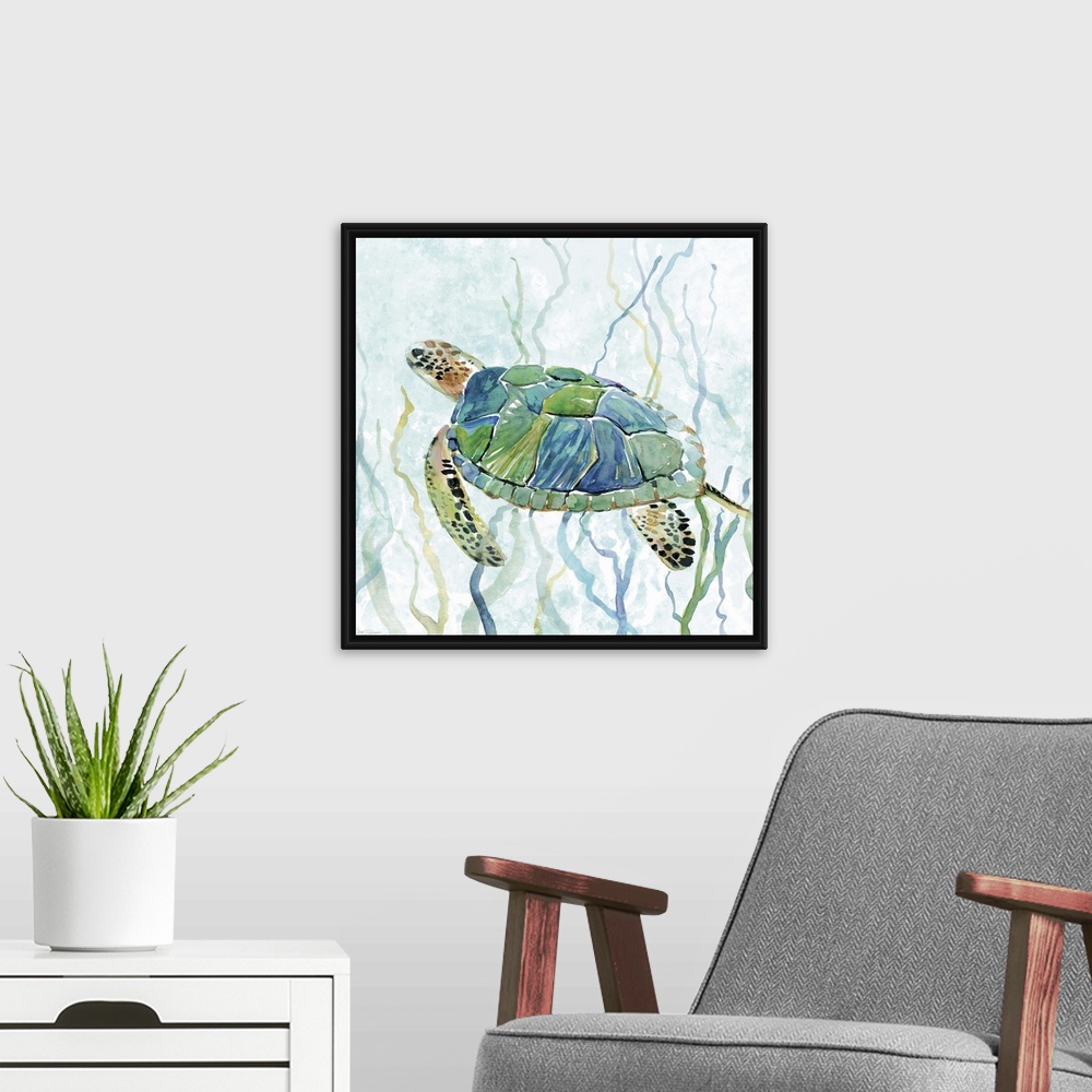 A modern room featuring Square watercolor painting of a sea turtle swimming amongst seaweed in shades of blue and green.