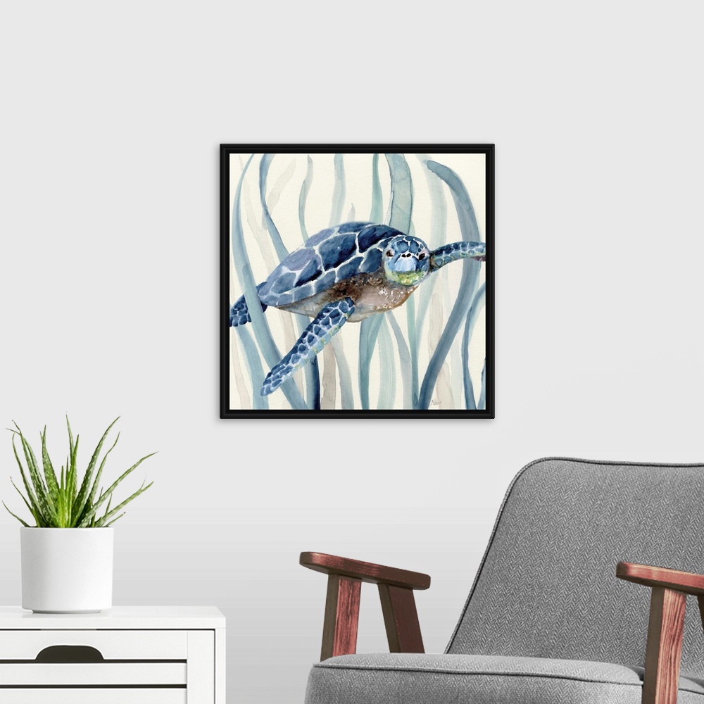 A modern room featuring Square watercolor painting of a sea turtle  swimming through seagrass in shades of blue.