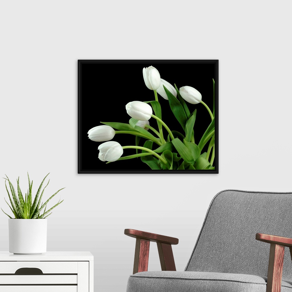A modern room featuring Photograph of flowers and their leaves against a dark staged background.