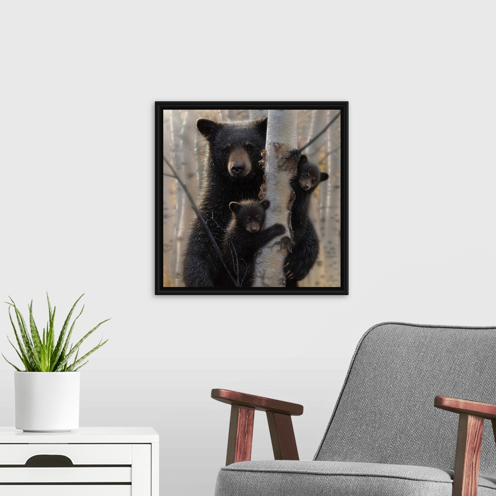 A modern room featuring Black Bear Mother and Cubs - Mama Bear
