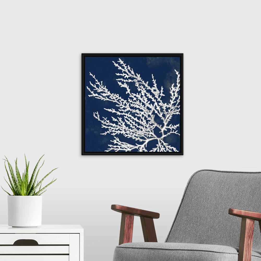 A modern room featuring A drawing of coral over a dark ink washes in this square decorative wall art.