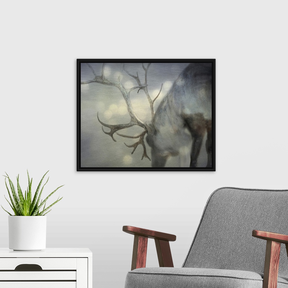 A modern room featuring Photograph of a gray reindeer on snow.