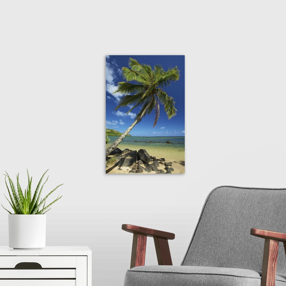 A modern room featuring A palm tree leaning out to the ocean against a blue sky;Hawaii united states of america