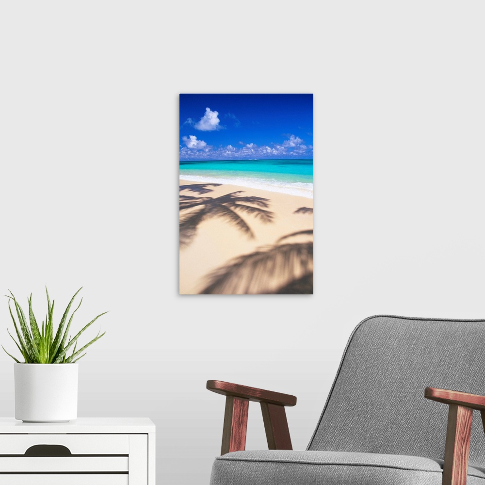 A modern room featuring Hawaii, Oahu, Lanikai, Tropical Beach Scene With Palm Shadow On Sand