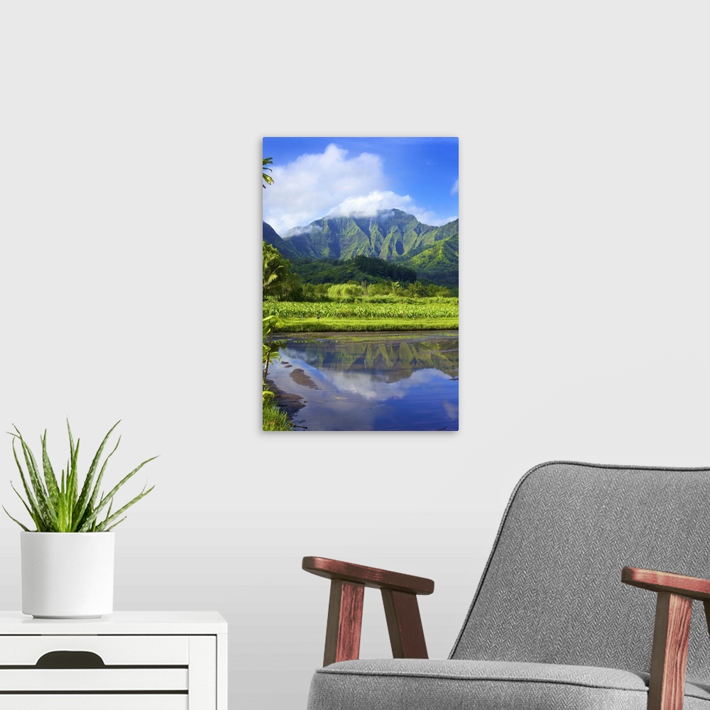 A modern room featuring Mirror image of green, foliage covered mountains and fields of taro crops; Hanalei, Kauai, Hawaii...