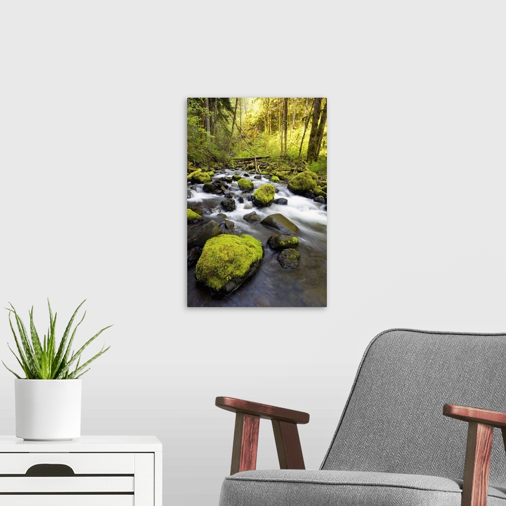 Framed Canvas Art - Moss Rocks by Andy Amos ( scenic & landscapes > Urban > Urban rivers, Lakes & waterfronts art) - 18x26 in