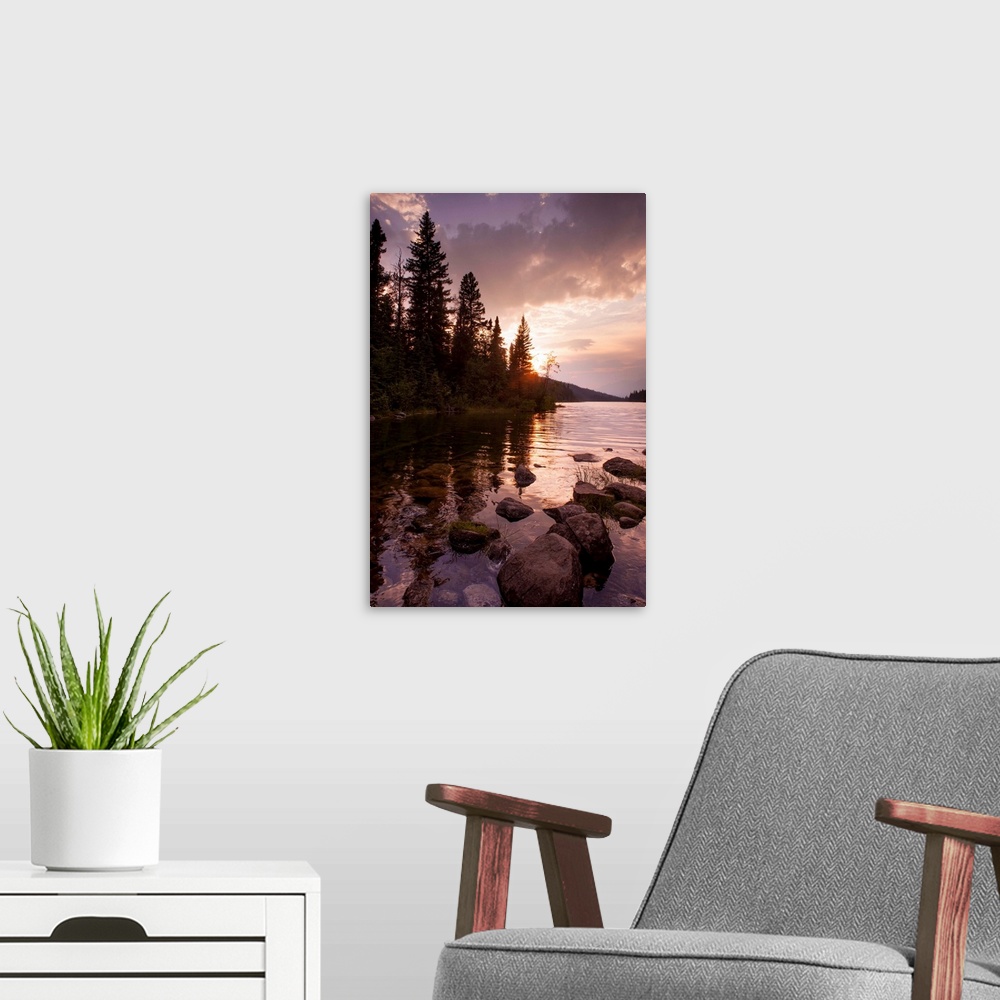 A modern room featuring trees by the water, color photography
