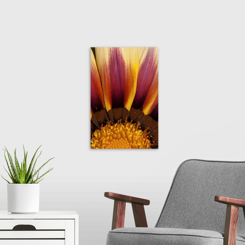 A modern room featuring Macro photograph of a bright yellow and purple flower.