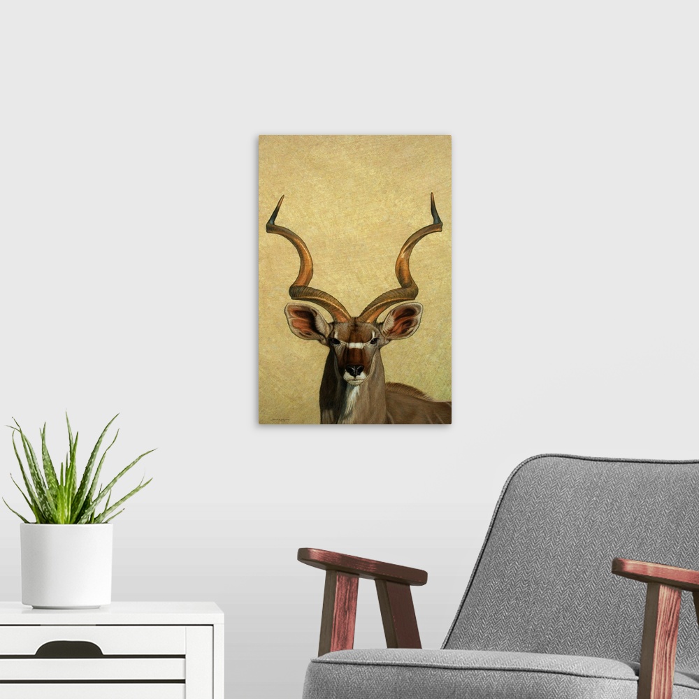 A modern room featuring Kudu