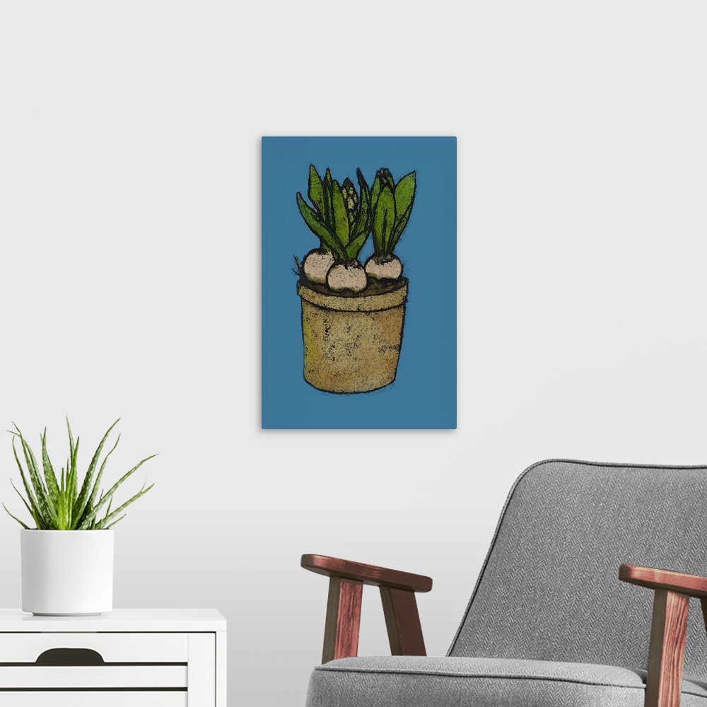 A modern room featuring Hyacinths In A Pot