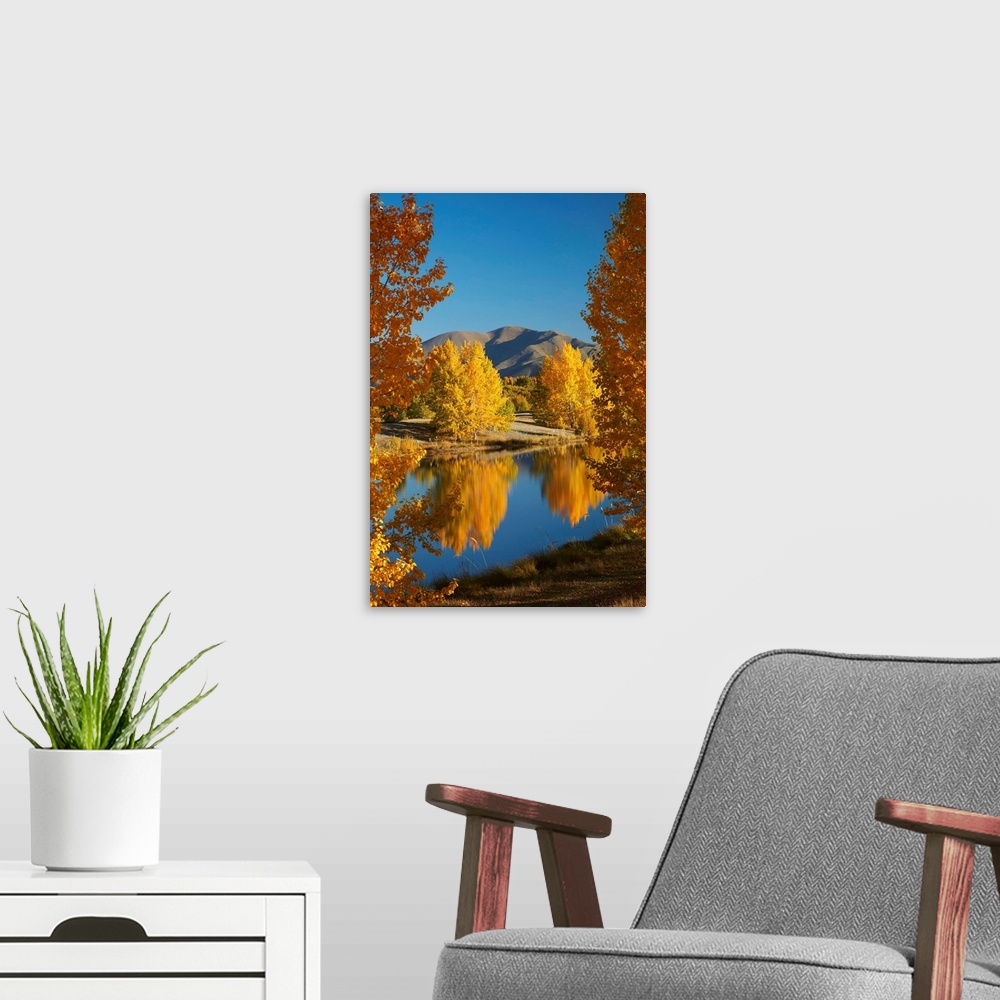 A modern room featuring Autumn reflections in Kellands Pond, near Twizel, Mackenzie District, South Canterbury, South Isl...