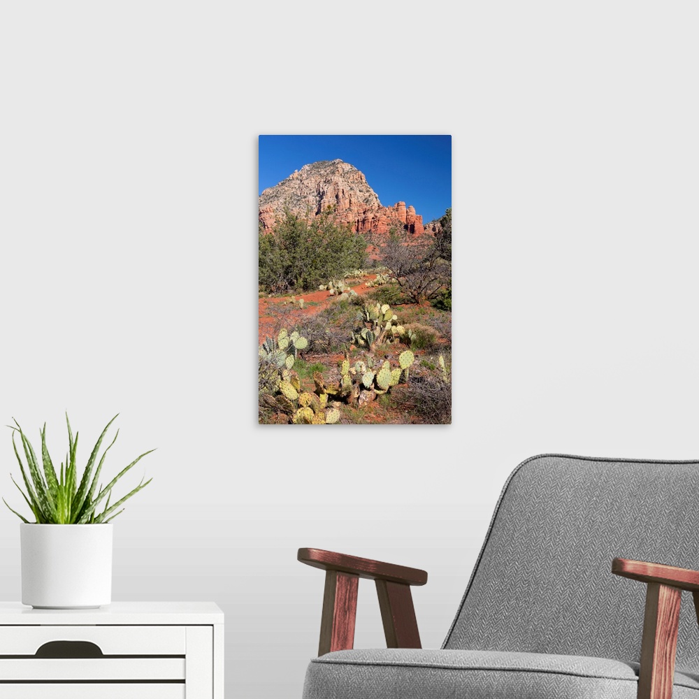 A modern room featuring AZ, Sedona, Red Rock Country, Thunder Mountain.
