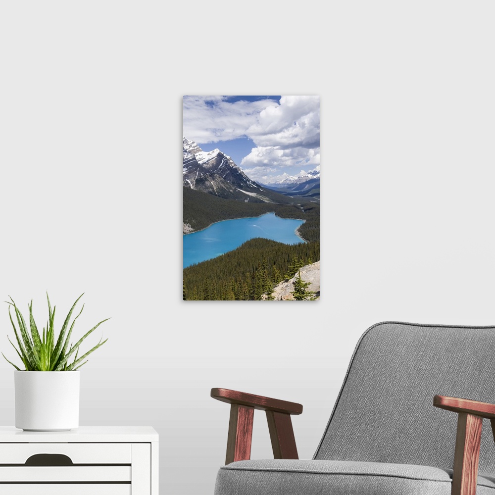 A modern room featuring Banff National Park, Alberta, Canada. Peyto Lake along the Icefields Parkway scenic drive.