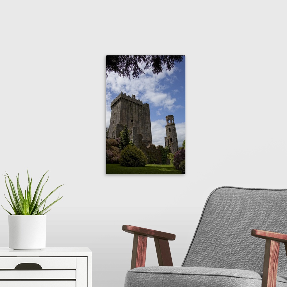 A modern room featuring The Blarney Castle framed by  colored textured plants under a blue sky with white puffy clouds