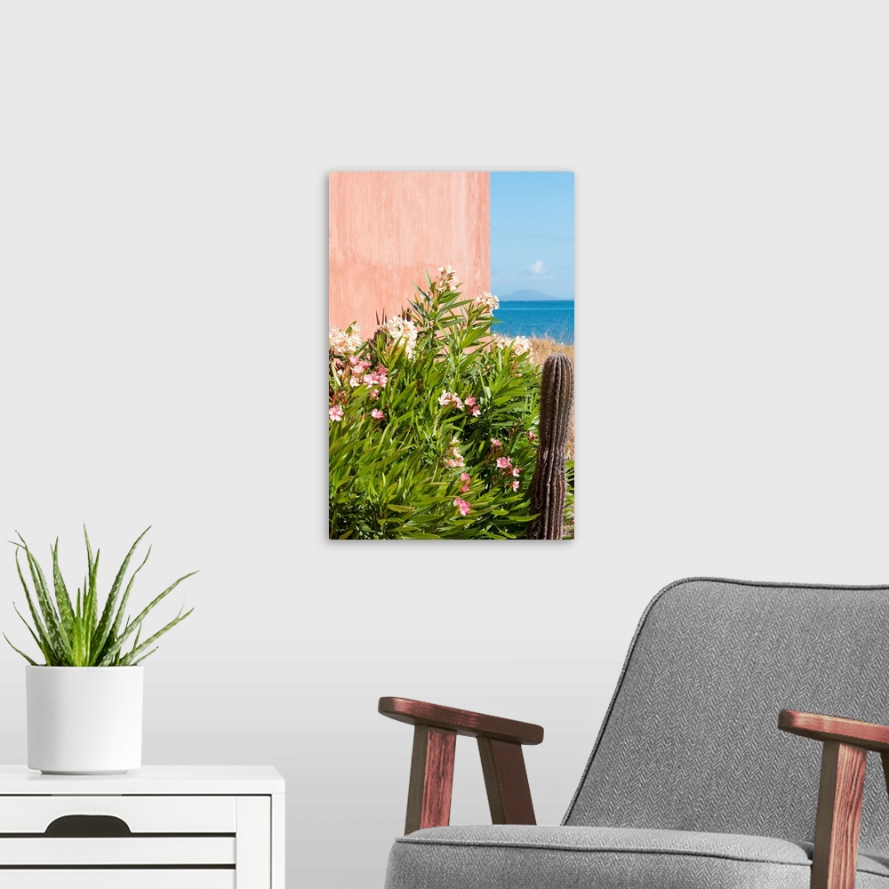 A modern room featuring Mexico, Baja California Sur. Loreto Bay. Cactus, flowering plants, Isla Coronado horizon in Sea o...
