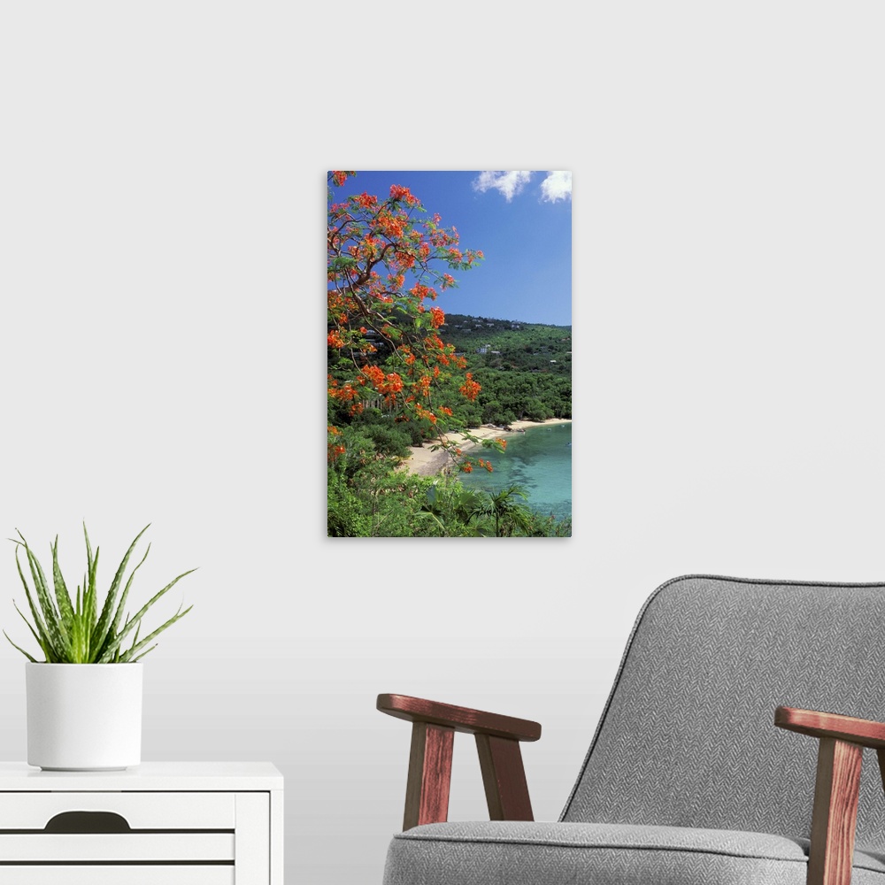 A modern room featuring CARIBBEAN, St Thomas.Hull Bay with flowers