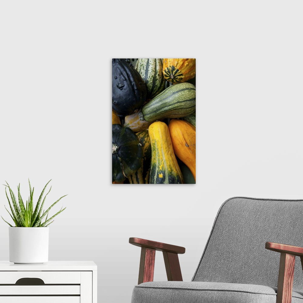 A modern room featuring Germany, Passau, Open-air farmer's market, colorful fall squash and gourds