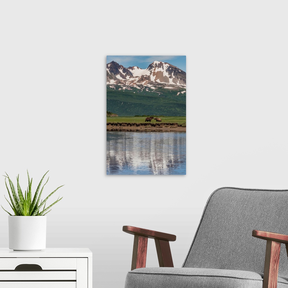 A modern room featuring North America, USA, Alaska, Katmai National Park. Coastal Brown Bear, Grizzly, Ursus arctos. Griz...