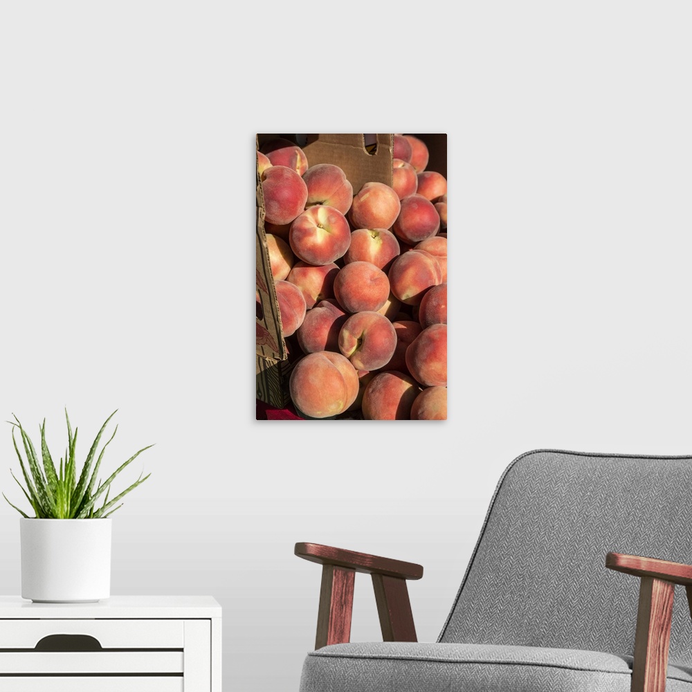 A modern room featuring Issaquah, Washington State, USA. Boxes of White Lady peaches for sale at a Farmers Market. United...
