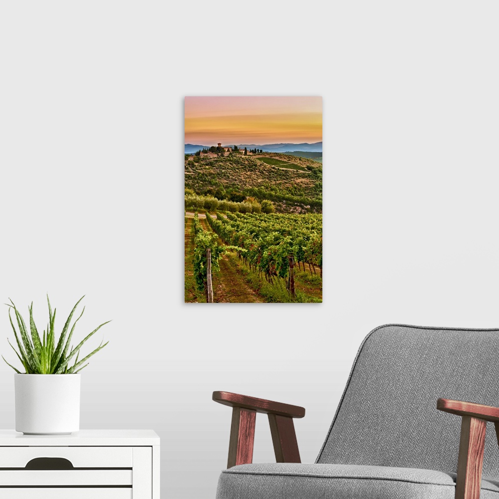 A modern room featuring Europe, Italy, Tuscany, Greve. Dawn on Castello di Verrazzano estate.