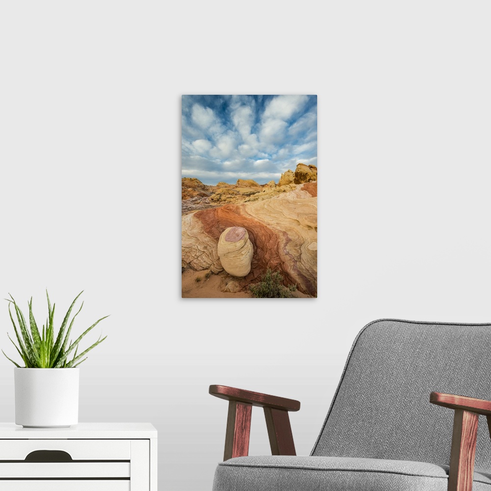 A modern room featuring North America, USA, Nevada, Valley of Fire State Park.  Early Morning Clouds and Colorful Rock Fo...