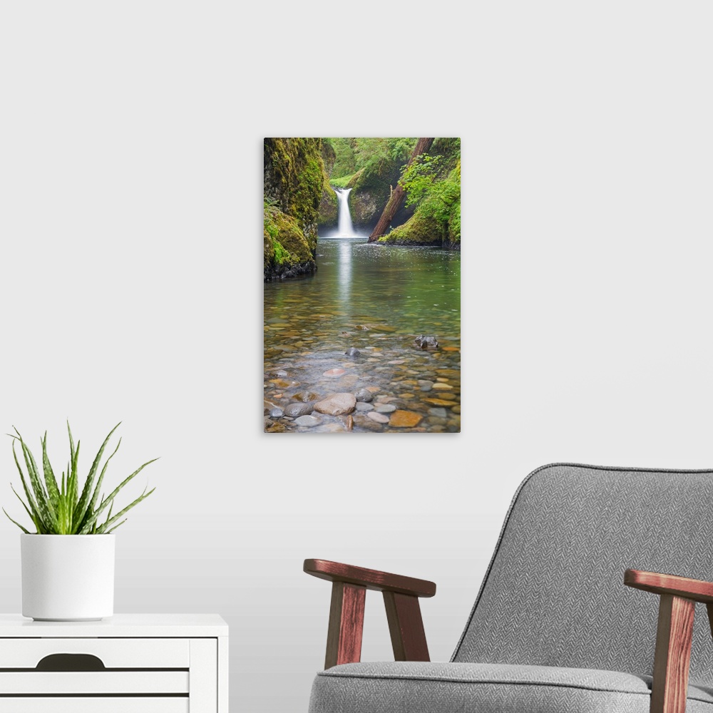 A modern room featuring OR, Columbia River Gorge National Scenic Area, Punch Bowl Falls