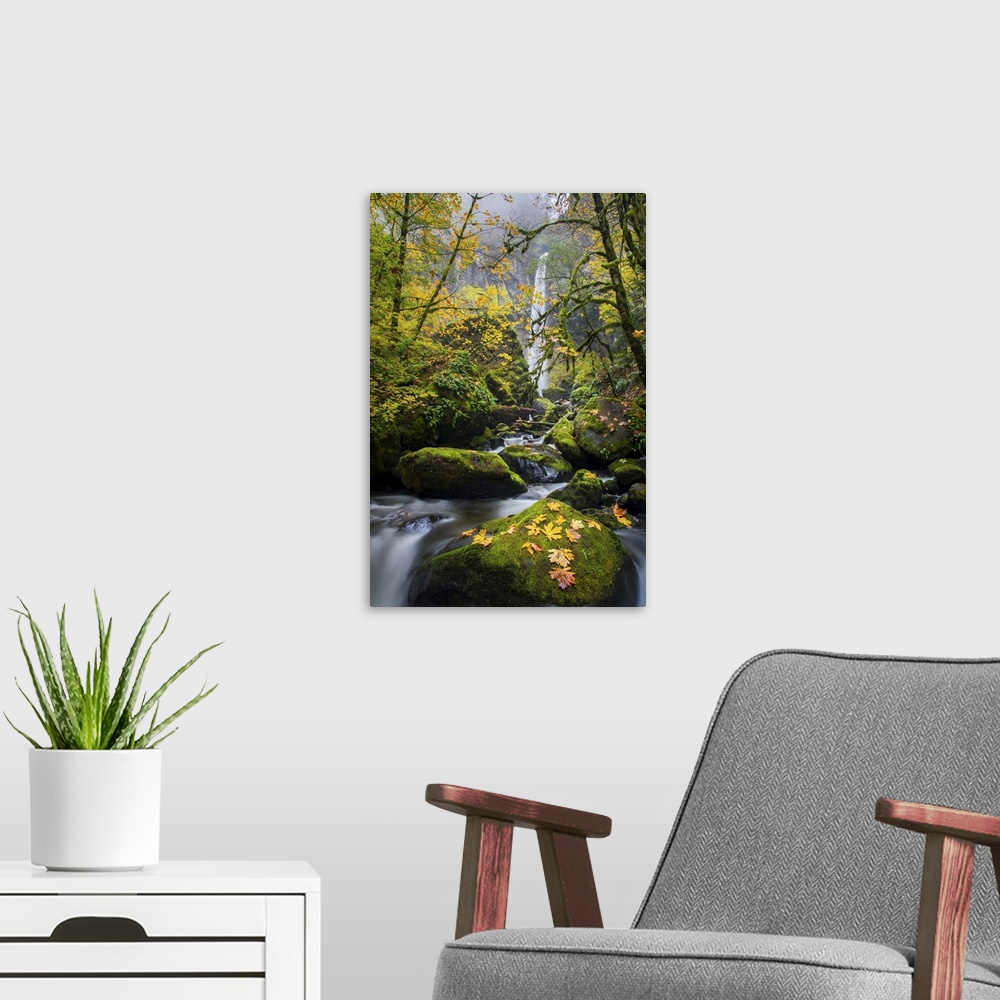 A modern room featuring USA, Oregon. View from below Elowah Falls on McCord Creek in autumn in the Columbia Gorge.