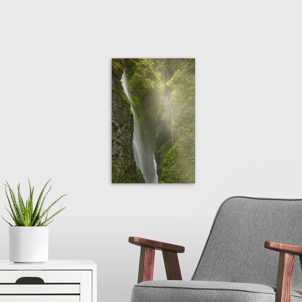 A modern room featuring USA, Oregon, Columbia River Gorge. Close-up overlook of  Elowah Falls.