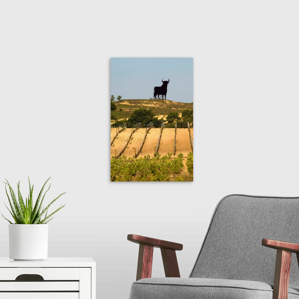 A modern room featuring Statue of black bull on ridge above vineyards in the Briones area in La Rioja region of northern ...