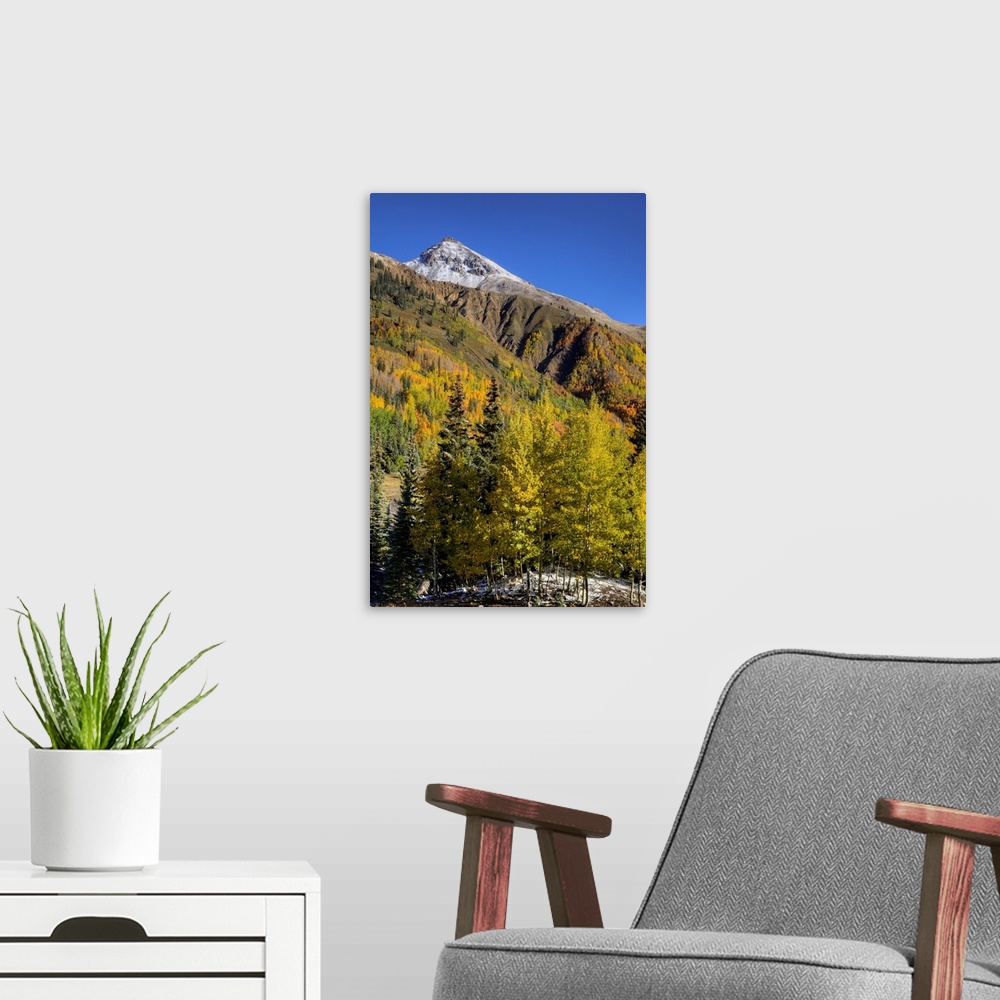 A modern room featuring USA, Colorado. autumn color in the San Juan Mtns, Colorado
