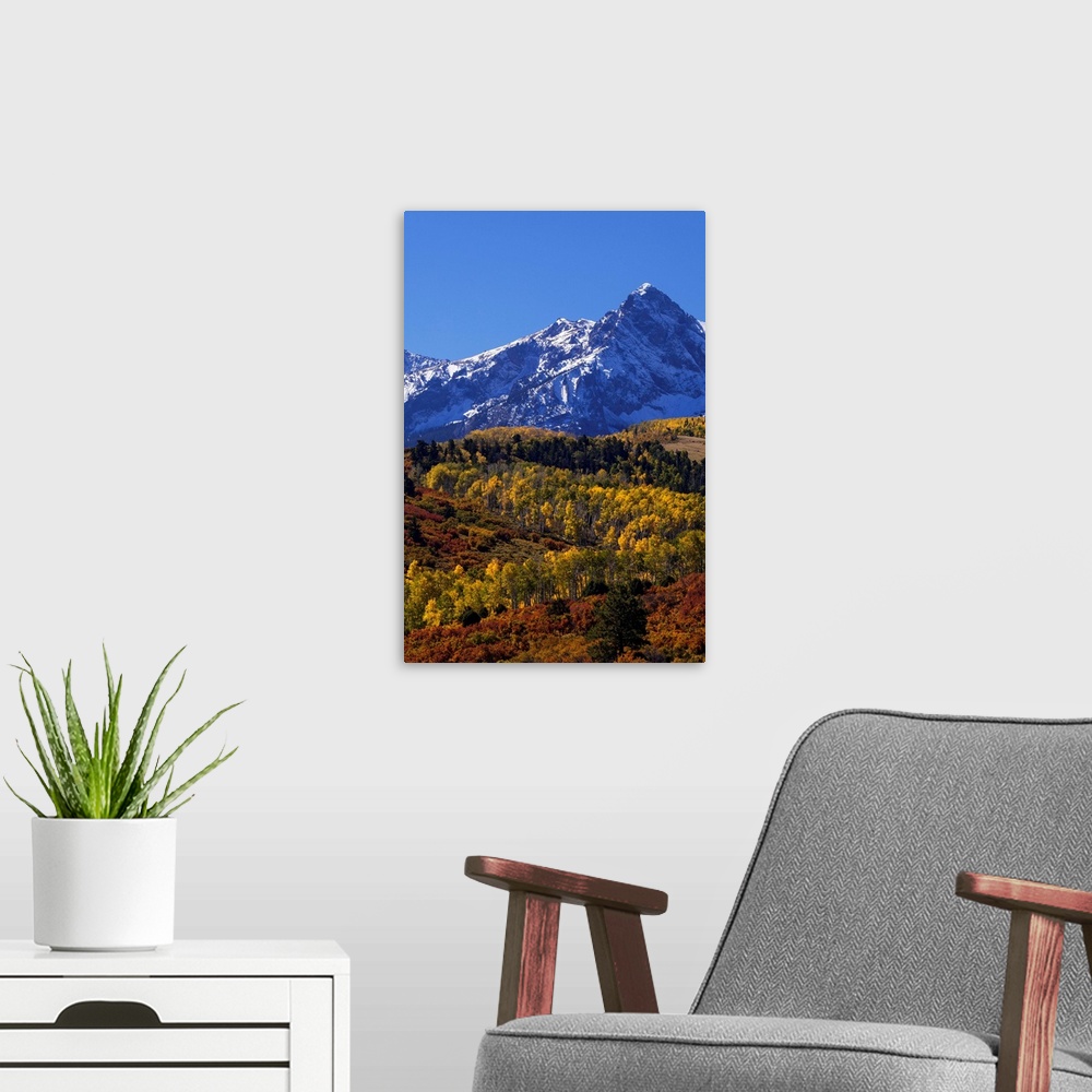 A modern room featuring USA, Colorado, San Juan Mountains. Mountain and forest in autumn.