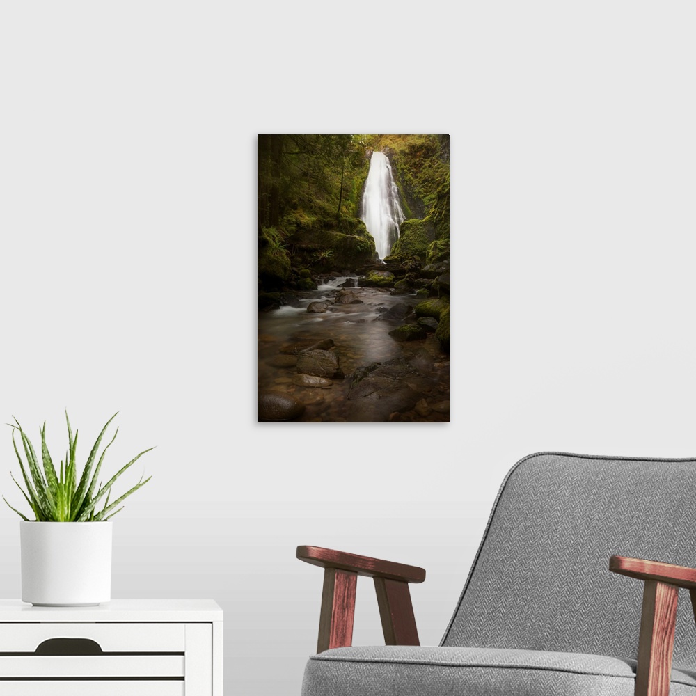 A modern room featuring USA, Oregon, Umpqua National Forest. Susan Creek Falls in mossy gorge.