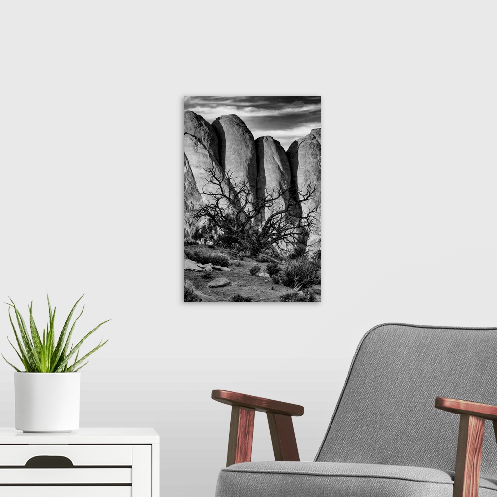 A modern room featuring North America, USA, Utah, Arches National Park, Black and white image of gnarled tree against sto...