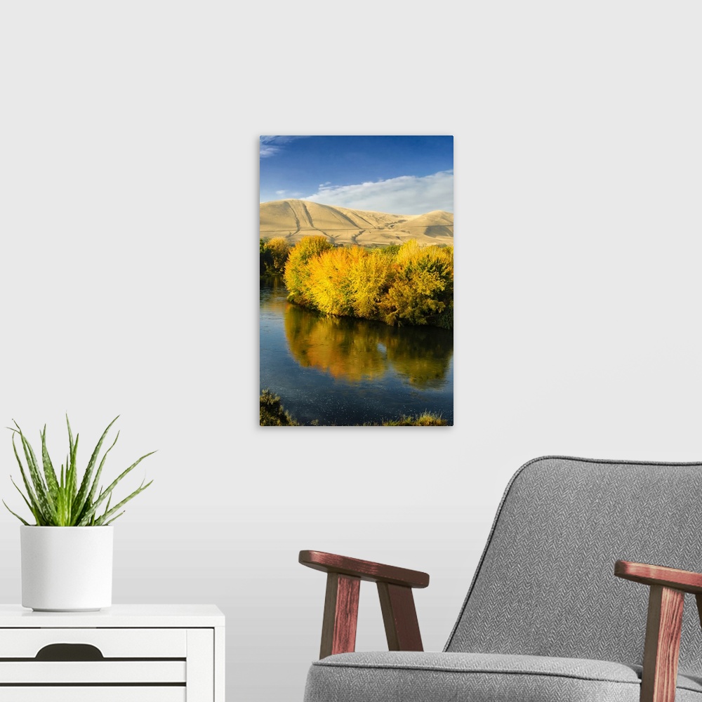 A modern room featuring USA, Washington, Benton City. Autumn color lights the trees along the Yakima River near the Red M...