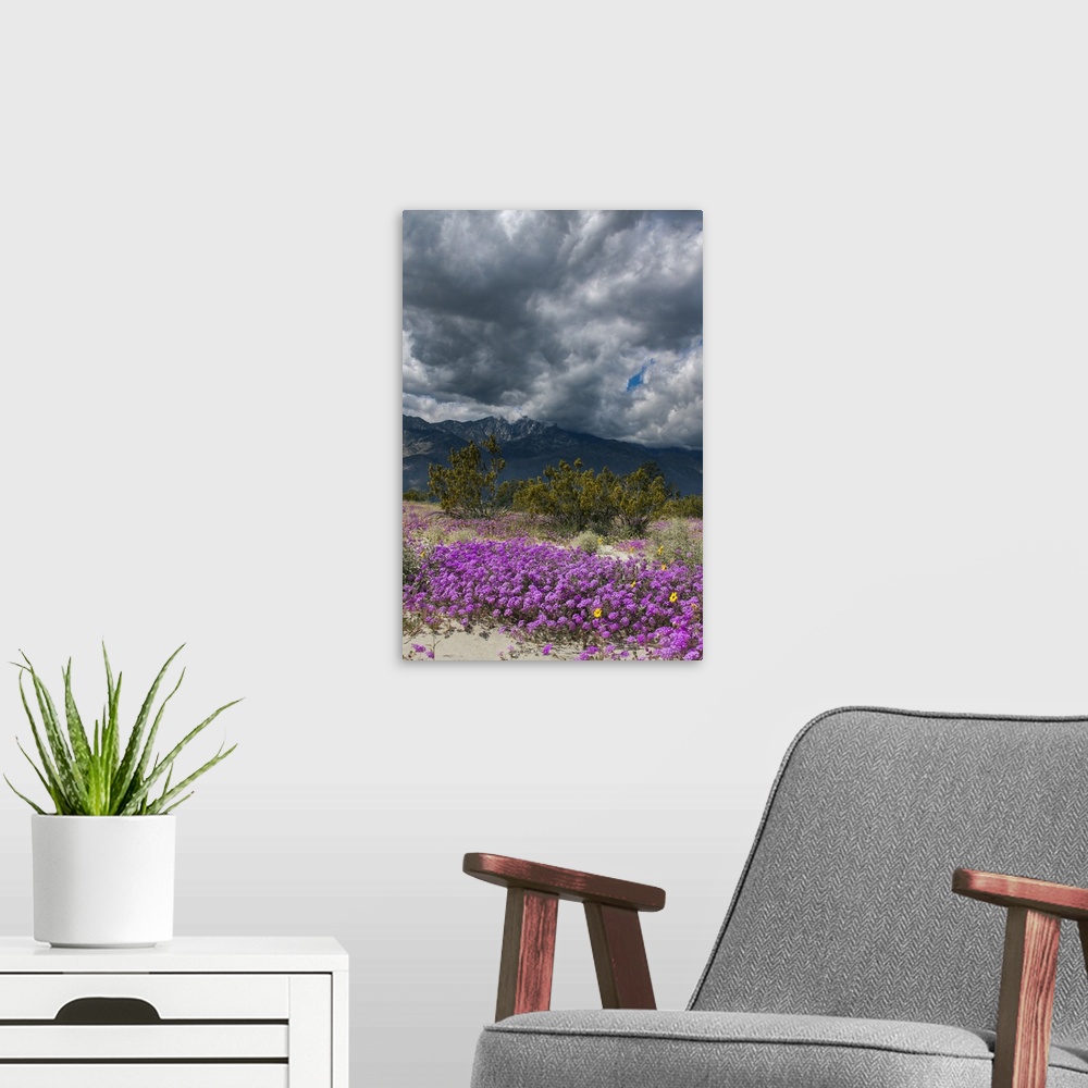 A modern room featuring Wildflowers, San Jacinto Mountain, Palm Springs California