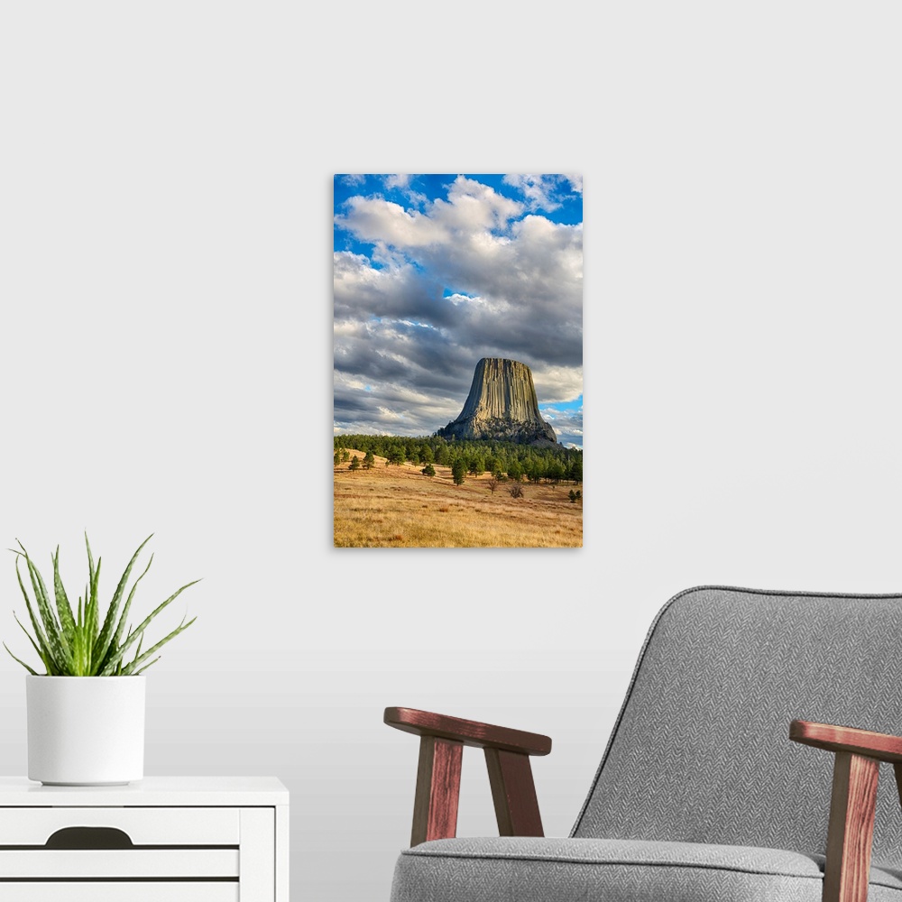 A modern room featuring WY, Devils Tower National Monument, Devils Tower