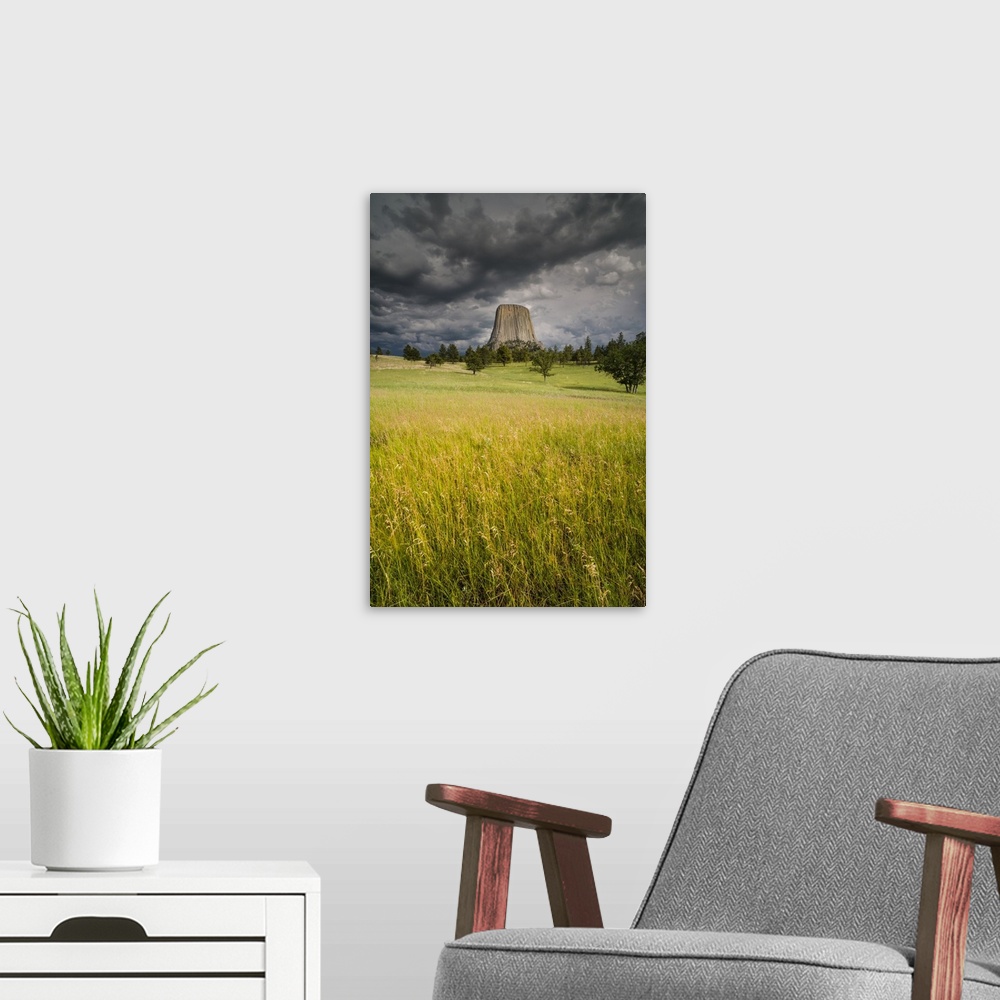 A modern room featuring North America, USA, Wyoming, Devil's Tower National Monument. Devil's Tower National Monument col...