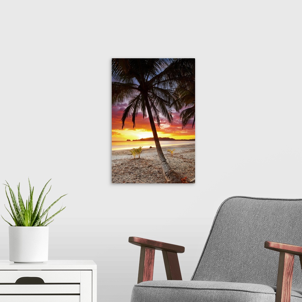 A modern room featuring Costa Rica, Guanacaste, Caribbean, Caribs, Pacific ocean, Nicoya Peninsula. Playa Carrillo at sunset