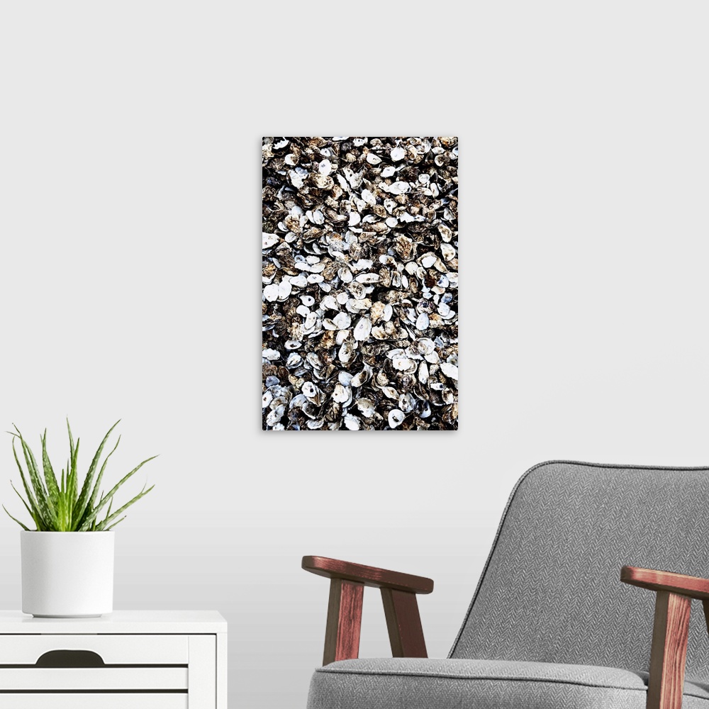 A modern room featuring England, Kent, Whitstable, Oyster shells