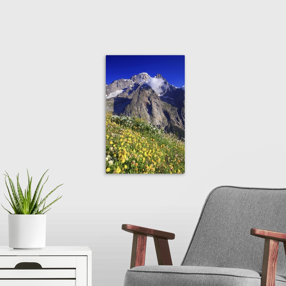 A modern room featuring Italy, Aosta Valley, Alps, Courmayeur, Val Veny, flowering in the meadows