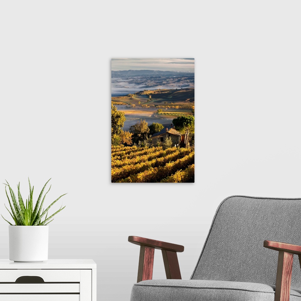A modern room featuring Italy, Tuscany, Mediterranean area, Brunello wine road, Siena district, Orcia Valley, Sangiovese ...