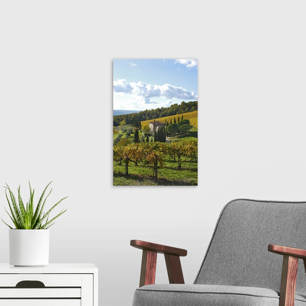 A modern room featuring Italy, Tuscany, Chianti, Mediterranean area, Firenze district, Travel Destination, Vineyard